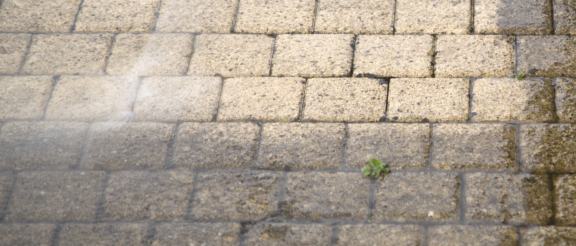 flagging and patios SW9