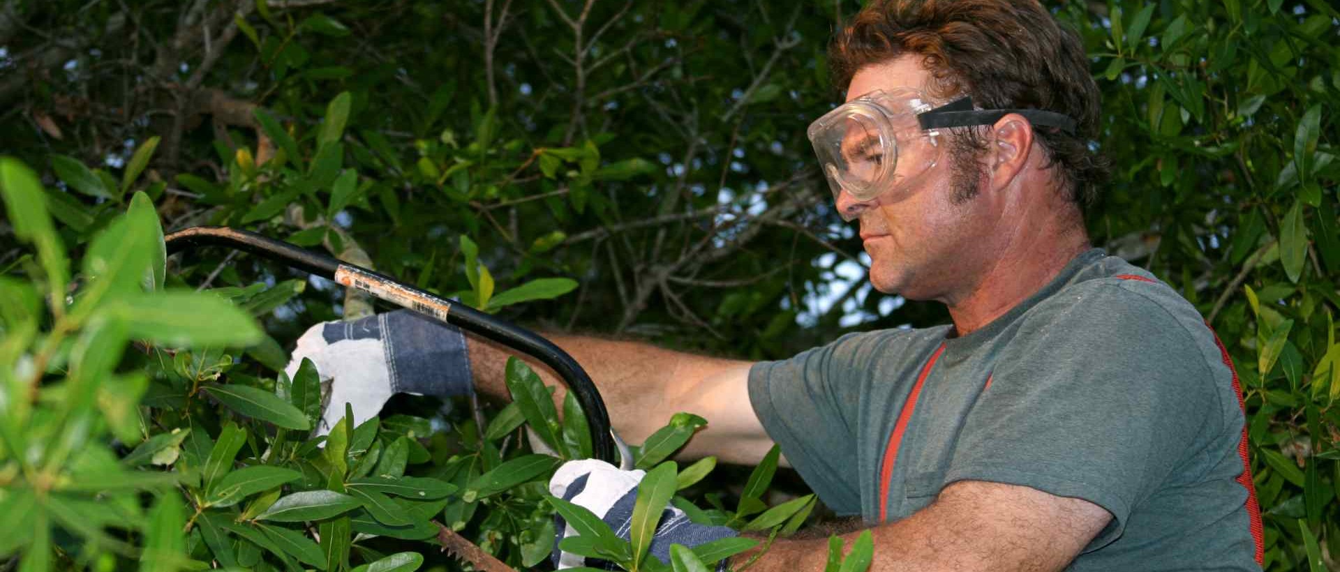 garden clearance SW9